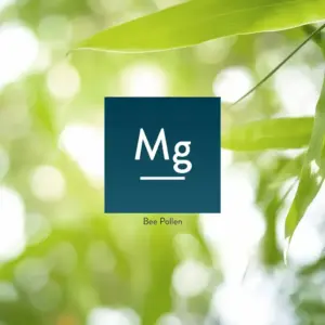 Stress Relief Chinese