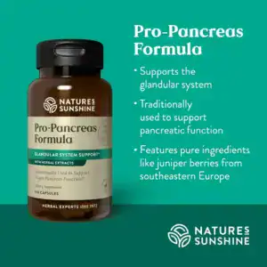 Pro-Pancreas