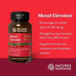 Mood Elevator TCM