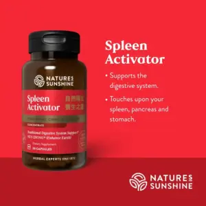 Spleen Activator TCM