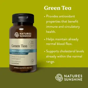 Green Tea Extract