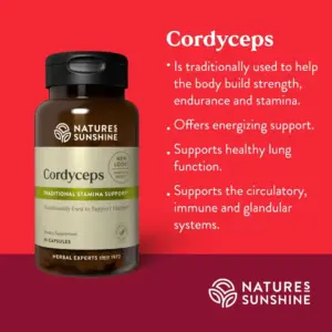 Cordyceps