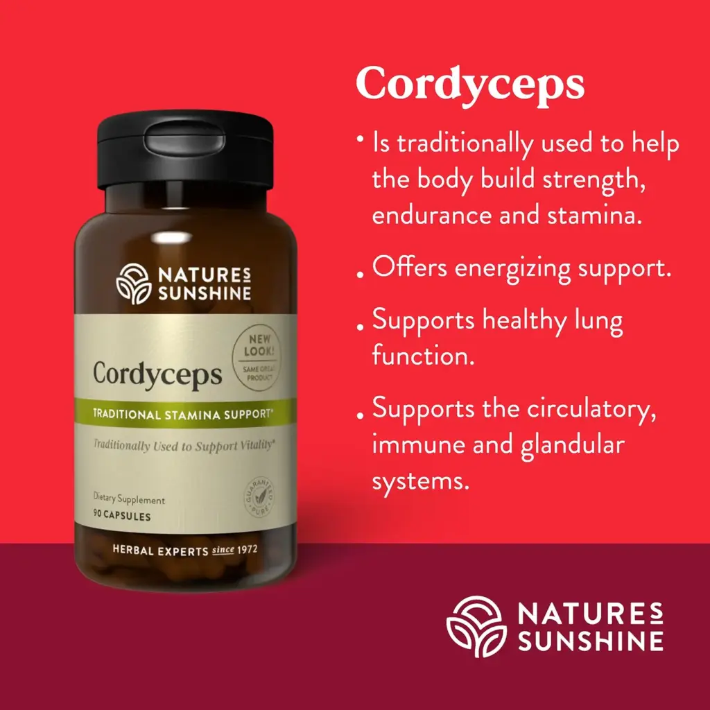 Cordyceps