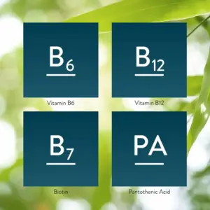 Balanced Vitamin B