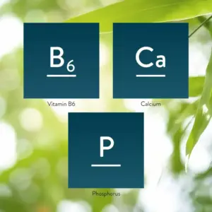 Vitamin B6