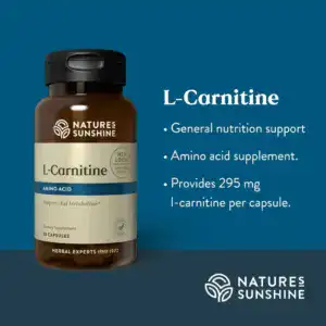 l-Carnitine