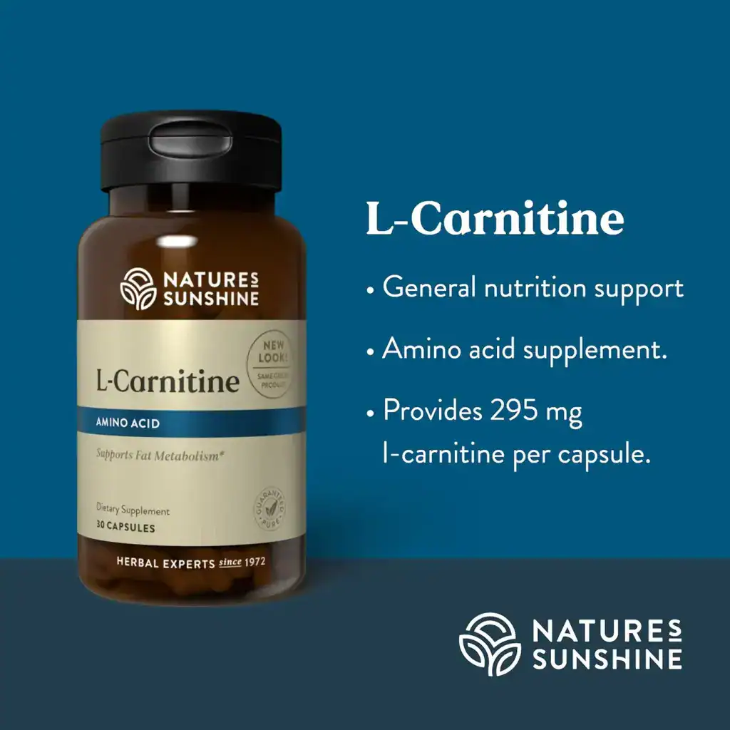 l-Carnitine