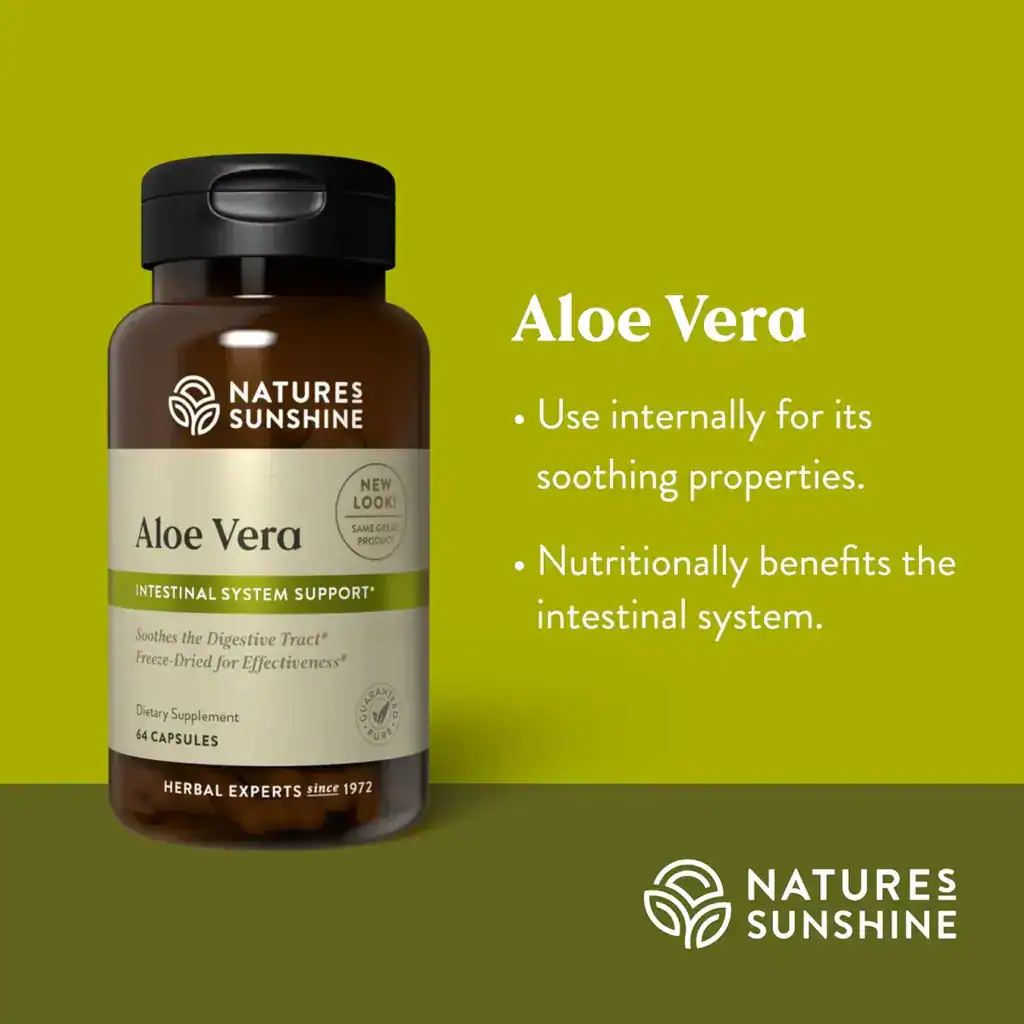 Aloe Vera Freeze Dried