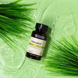Chlorophyll