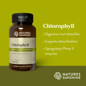 Chlorophyll