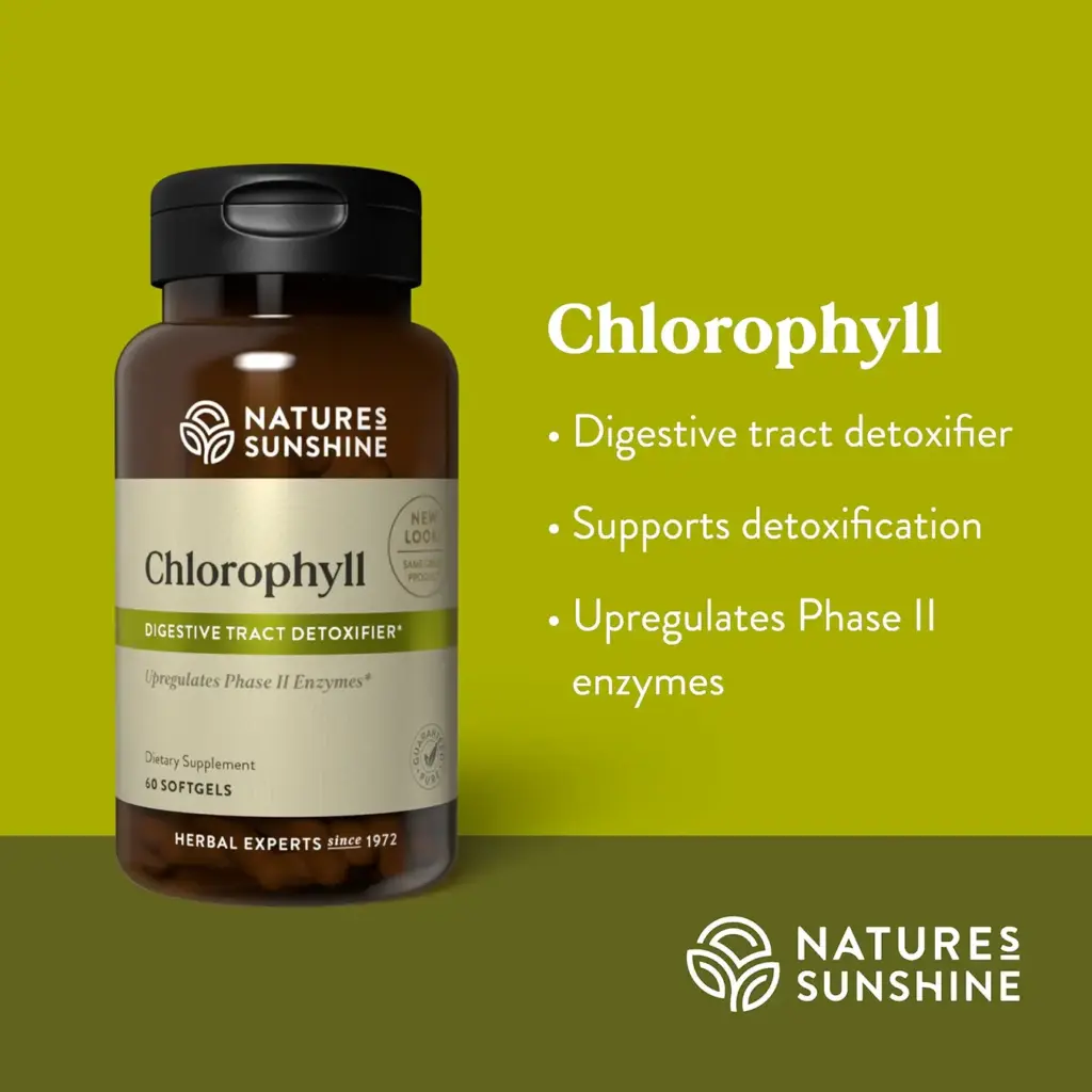 Chlorophyll
