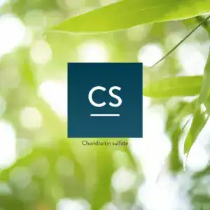 Chondroitin