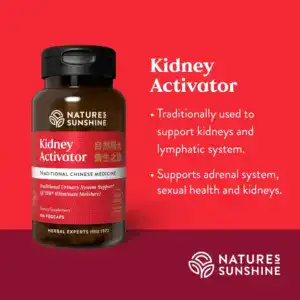Kidney Activator Chinese