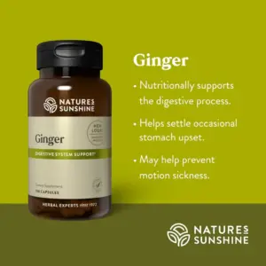 Ginger
