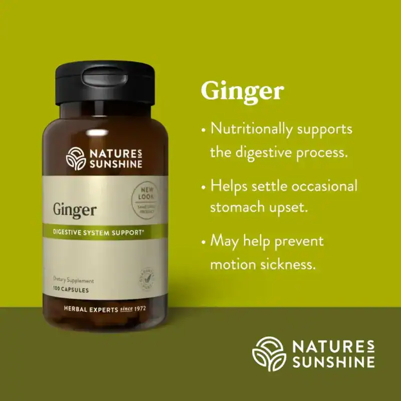 Ginger | Caring Sunshine
