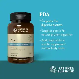 PDA Combination