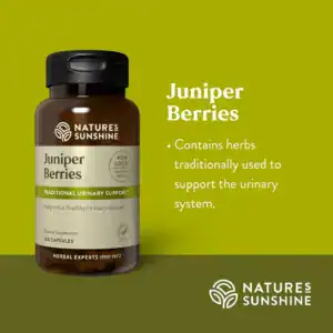 Juniper Berries