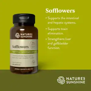 Safflowers