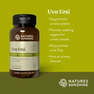 Uva Ursi