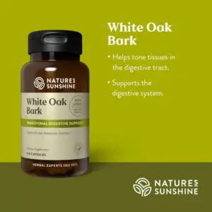 White Oak Bark