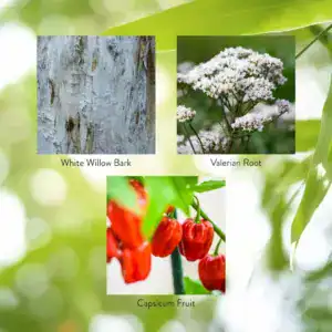 APS II® w/ White Willow Bark