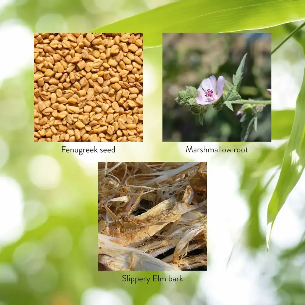 Marshmallow & Fenugreek