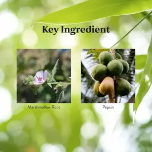 Small Intestine Detox