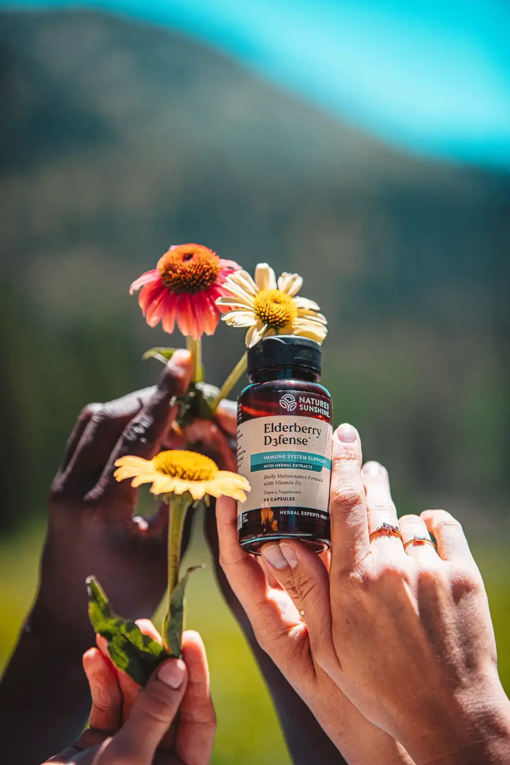 Elderberry D3fense