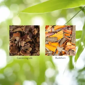 Lower Bowel Stimulator Vegitabs