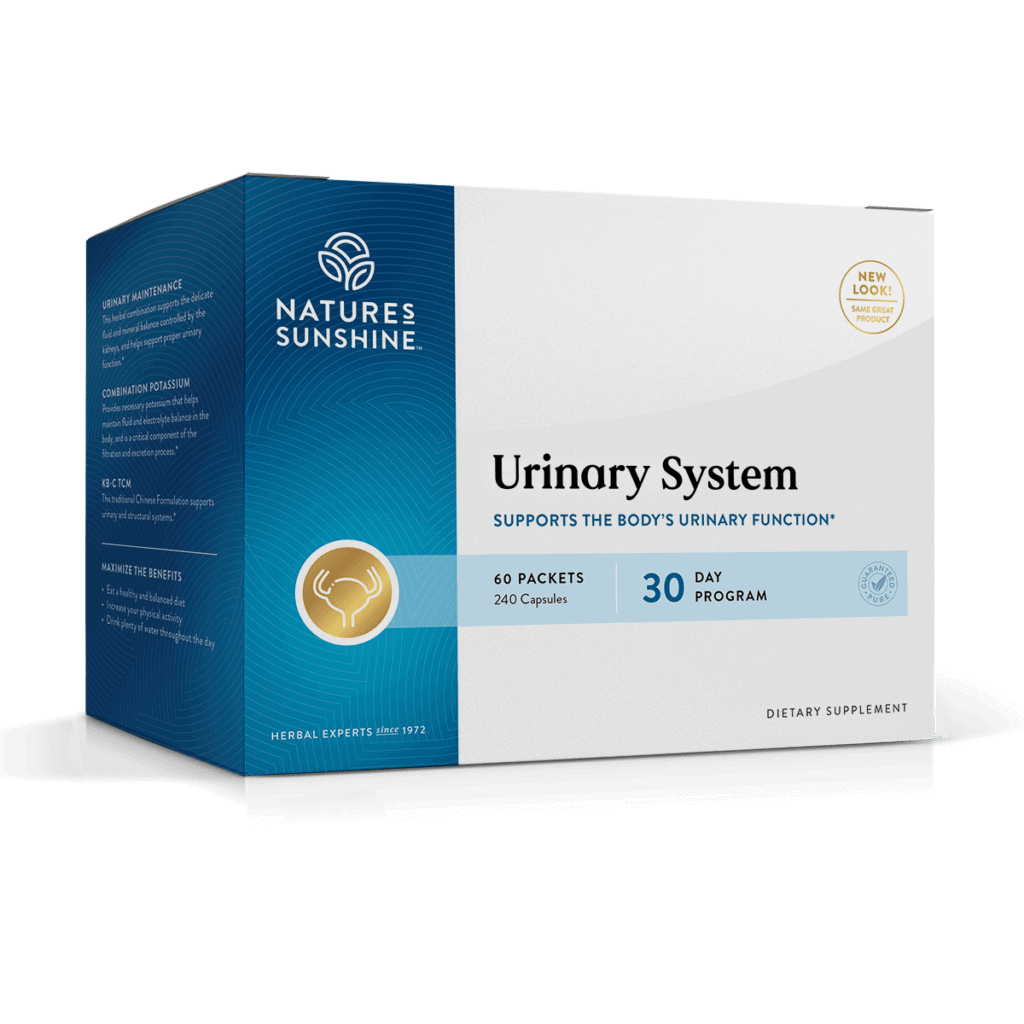 Urinary System