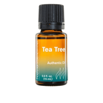 Aceite auténtico del árbol del té