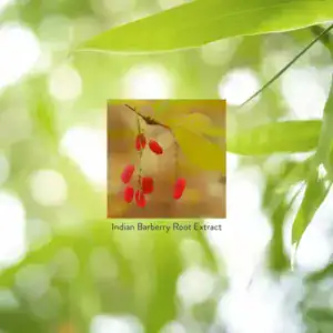 Berberine