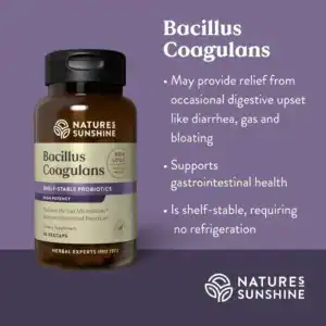 Bacillus Coagulans, NutriBiome