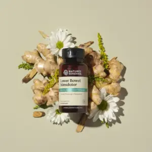 Lower Bowel Stimulator