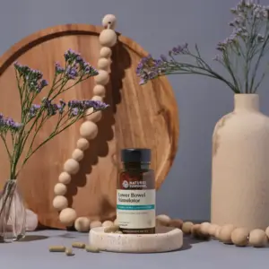 Lower Bowel Stimulator