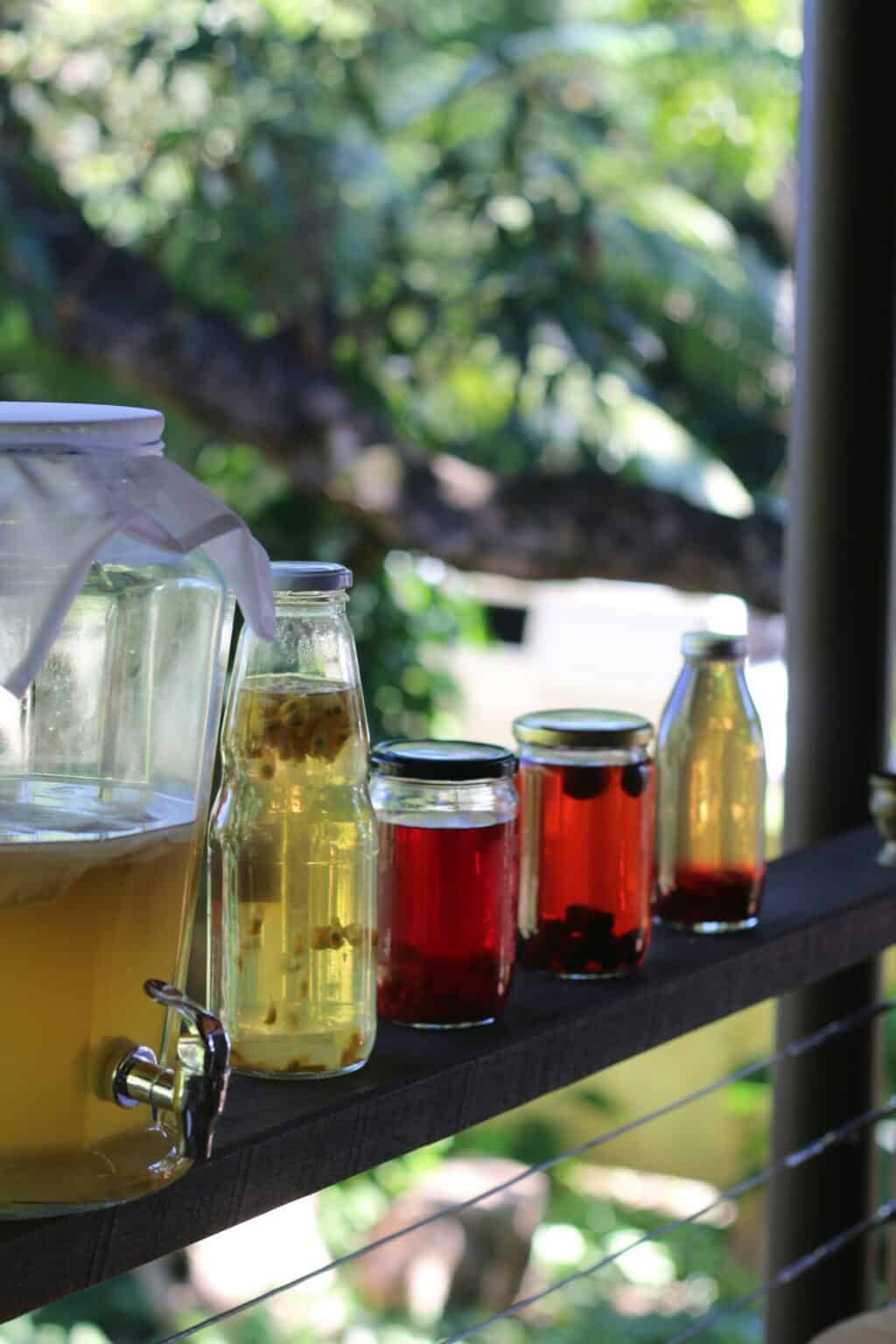 fermented foods